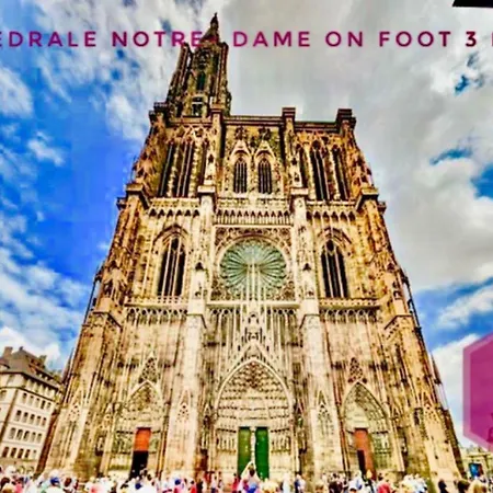 Appartement Life Incity - Petite France By Life Renaissance Strasbourg